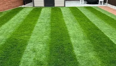lawn-care-case-study-dundee