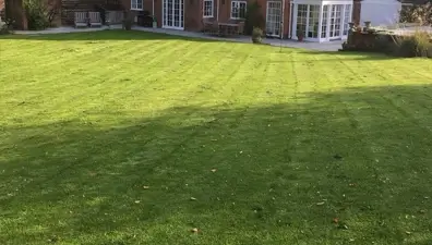 lawn-care-case-study-high-wycombe