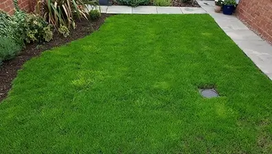 lawn-care-case-study-upnor-rochester