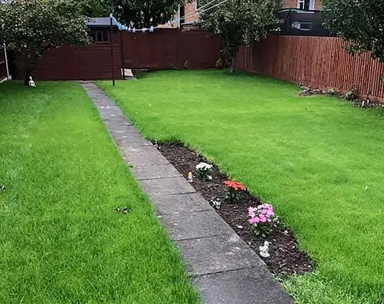lawn-master-lawn-care-after