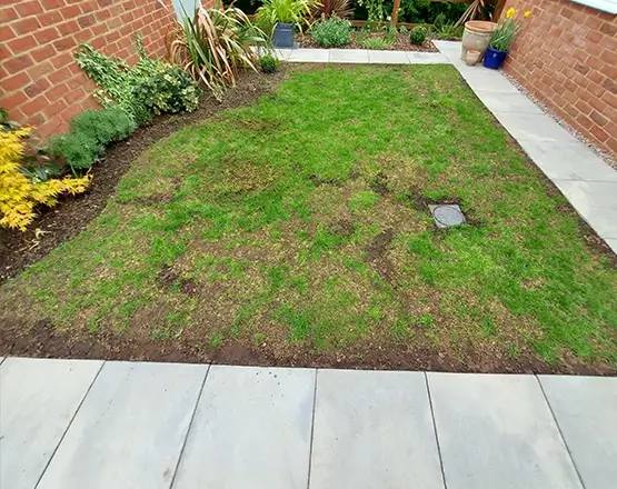 lawn-master-lawn-care-before