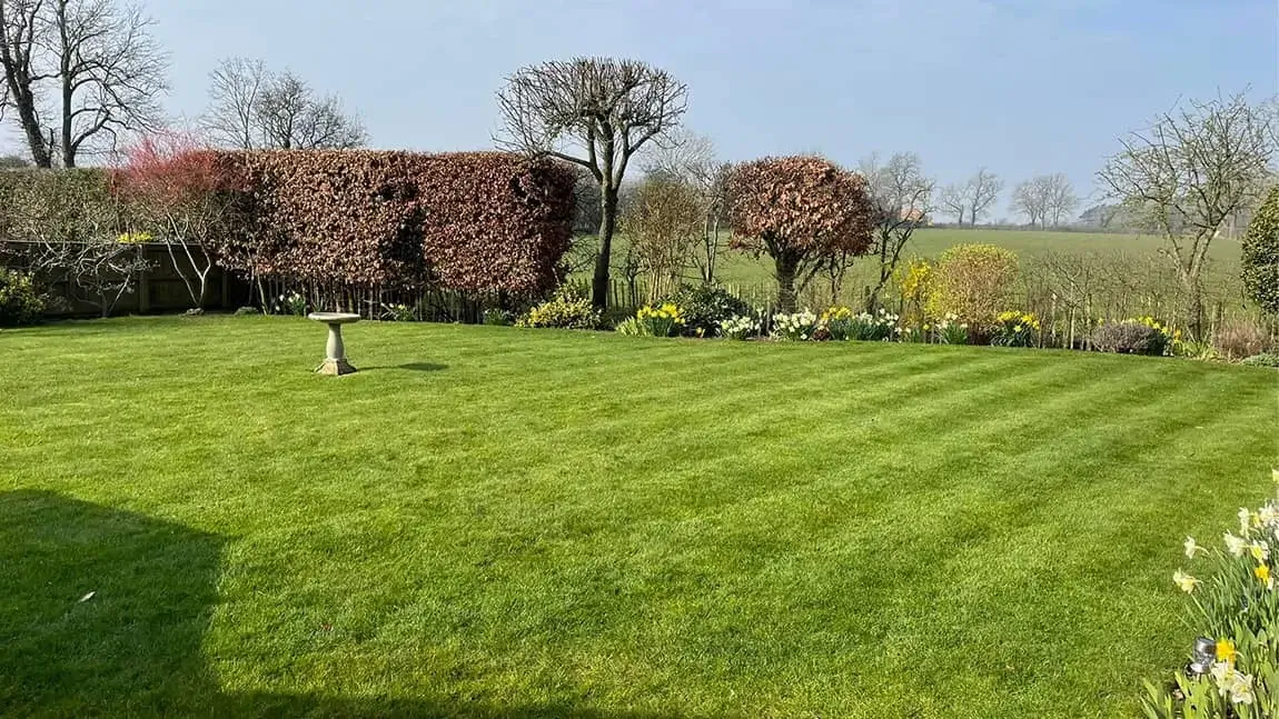 lawn-care-north-yorkshire