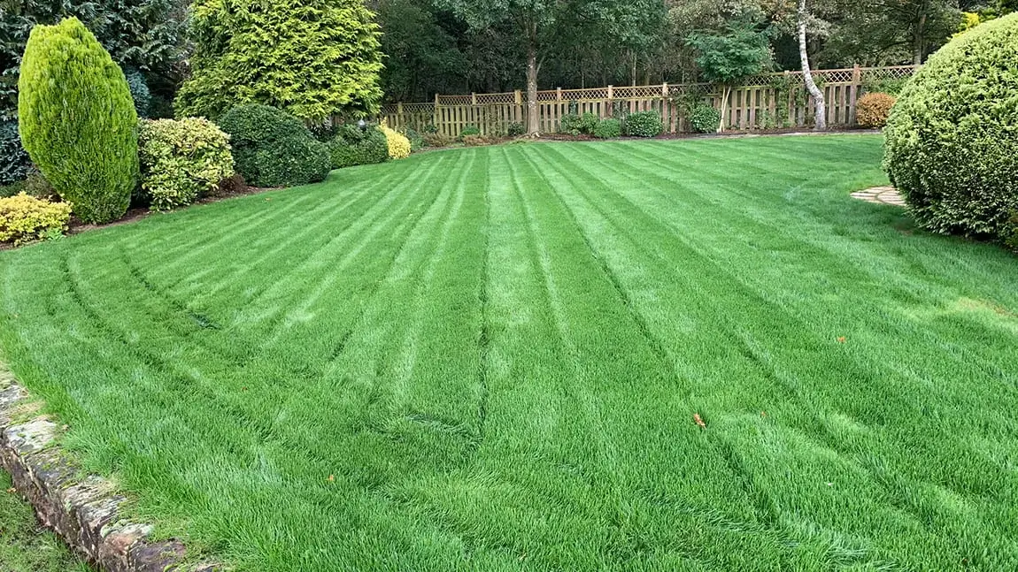 lawn-master-norfolk-peterborough