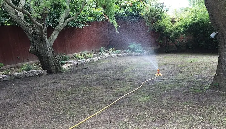 lawn-care-tips-and-advice-Watering Newly Seeded Lawns