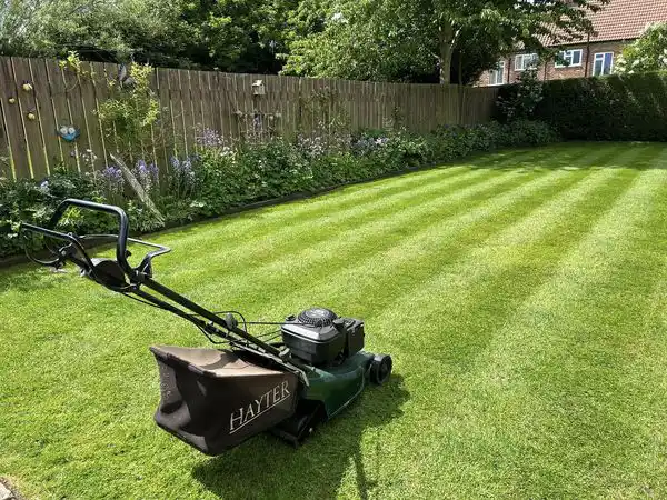 lawn mower on lawn