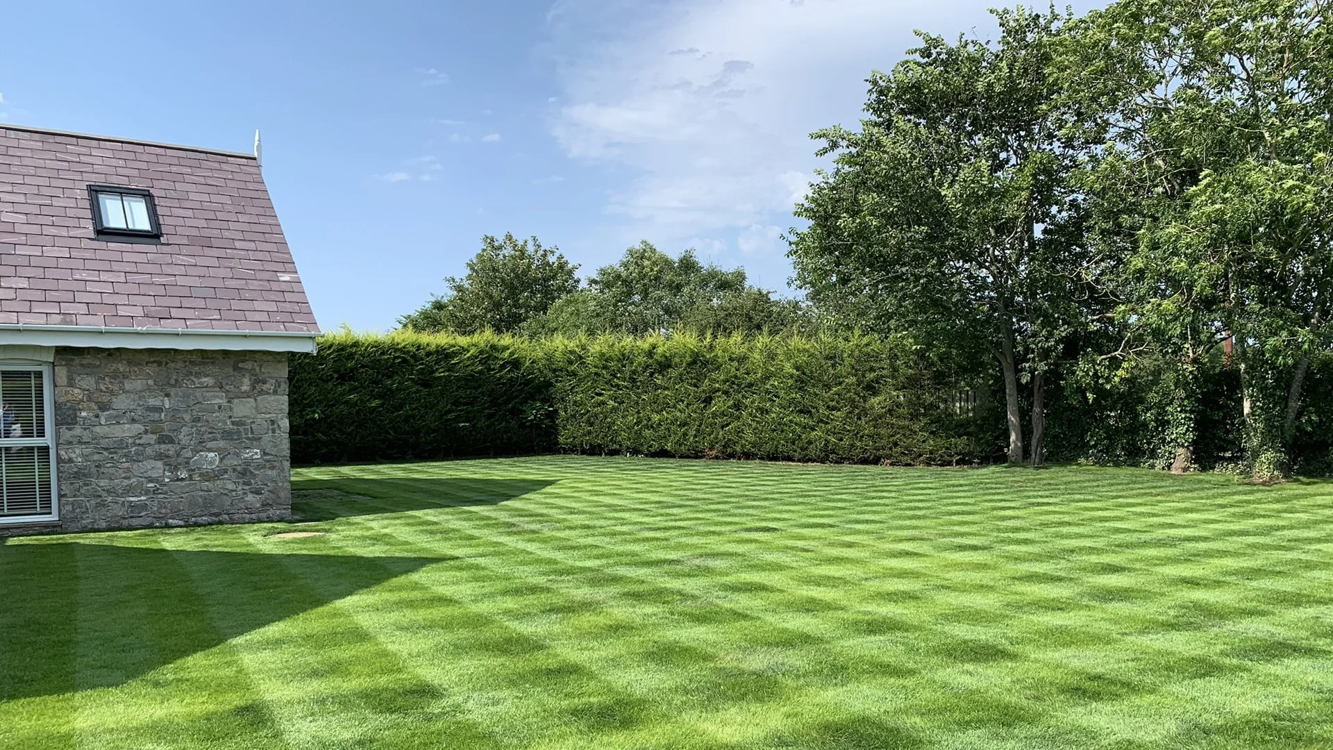 Maintained lawn