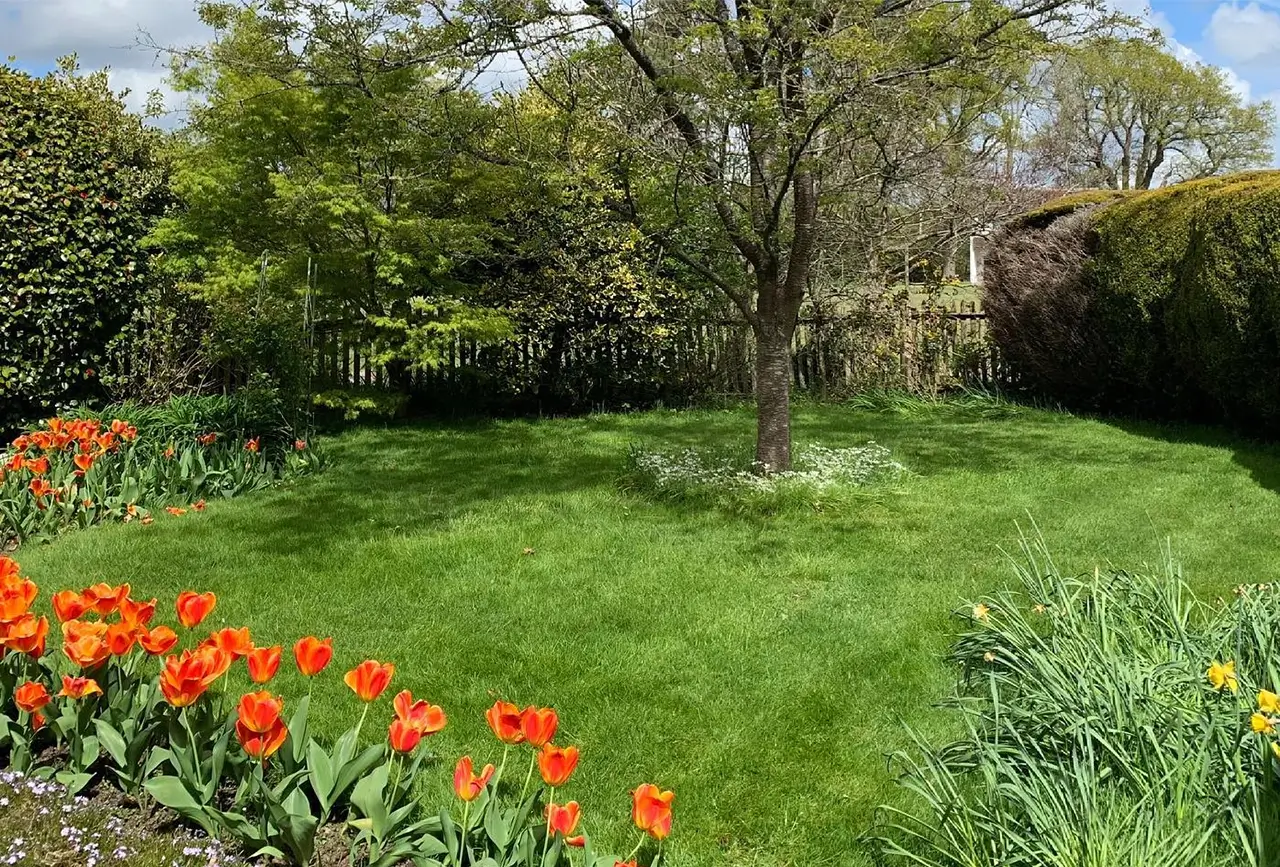 Lawn care store advice