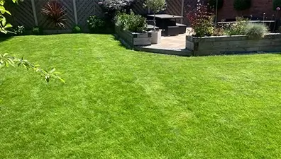 lawn-care-case-study-lincoln