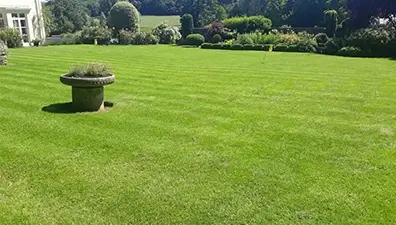 lawn-care-case-study-dunston-lincoln