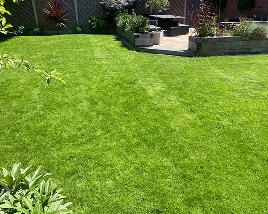 lawn-master-lawn-care-after