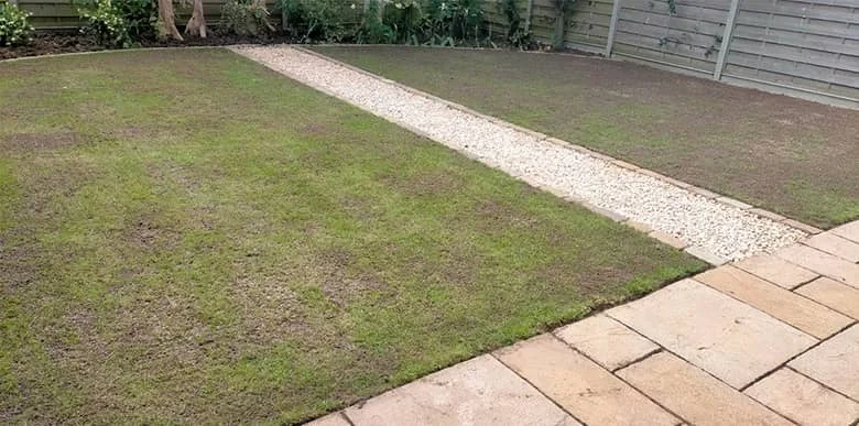 lawn-master-lawn-care-before