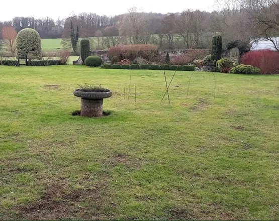 lawn-master-lawn-care-before