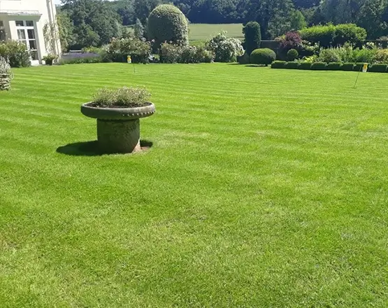 lawn-master-lawn-care-after