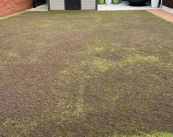 lawn-master-lawn-care-after