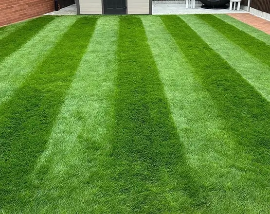 lawn-master-lawn-care-before