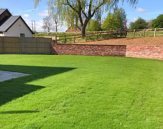 lawn-master-lawn-care-after