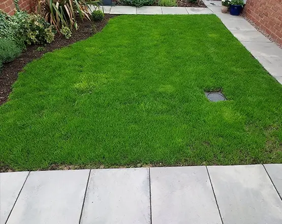 lawn-master-lawn-care-after