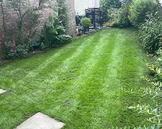 lawn-master-lawn-care-after
