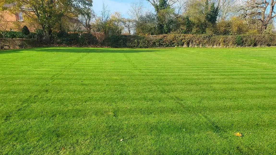 lawn-care-nottingham-lincoln
