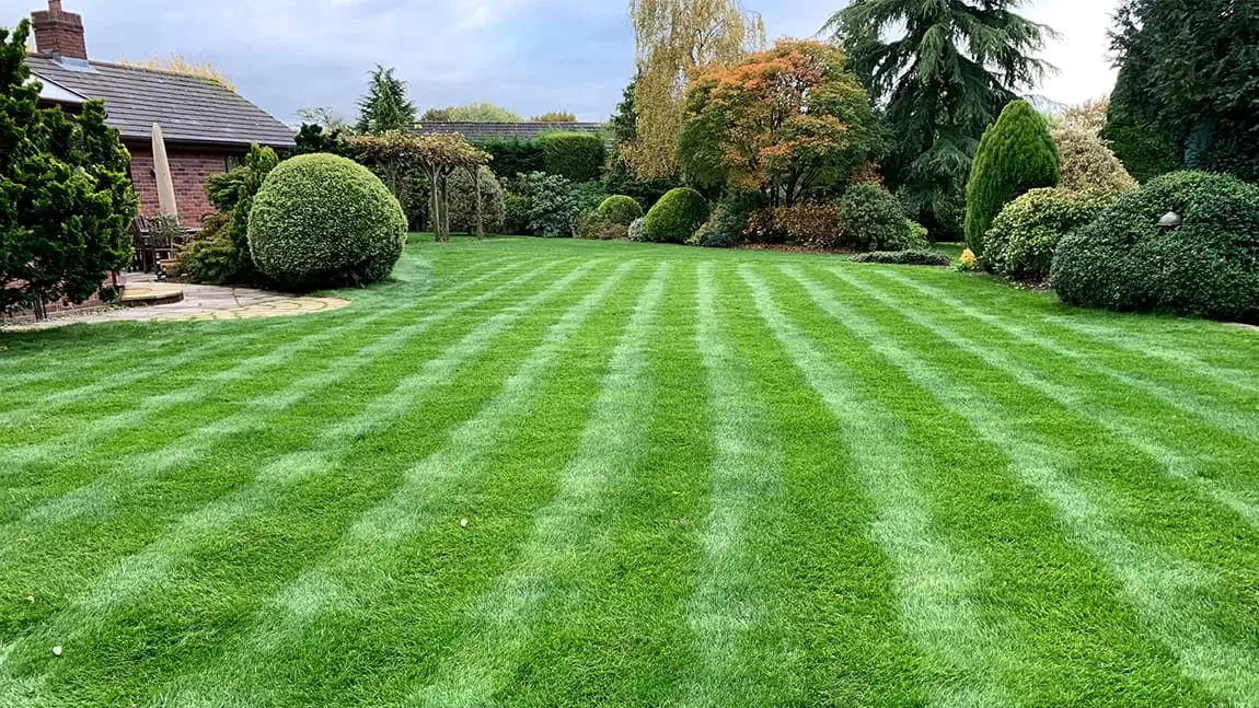 lawn-care-norfolk-peterborough