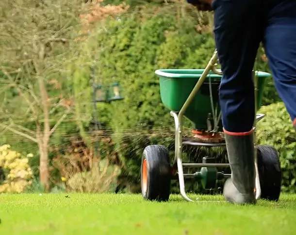 lawn-master-fertiliser-applciation-service