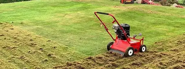 lawn-master-scarification-service