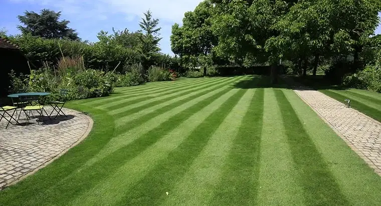 Lawn-Master-Standard-Treatment-Programme-Late-Summer