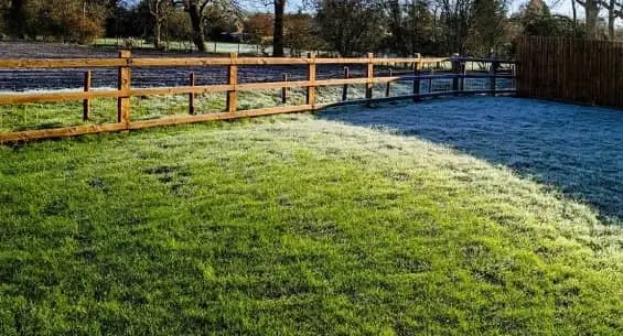 Lawn-Master-Standard-Treatment-Programme-Winter